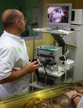ENDOSCOPIE