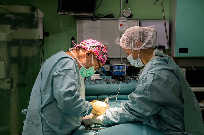 O-Chirurgie Chirurgie vétérinaire Oiselet