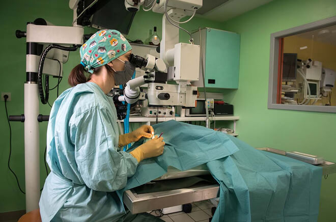 O-Ophtalmologie Ophtalmologie vétérinaire, consultations avancées vétérinaires Bourgoin-Jallieu