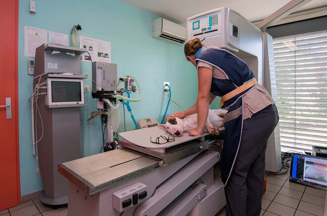 O-Scanner Scanner CBCT