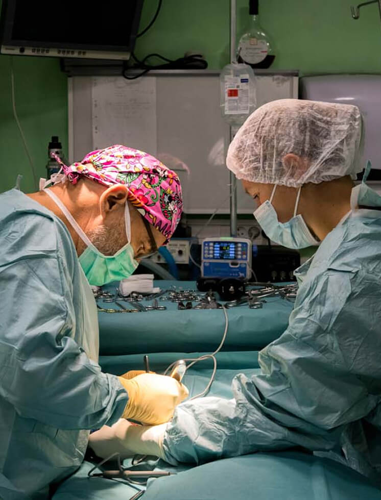 O-Services-1 Chirurgie vétérinaire Bourgoin Jallieu