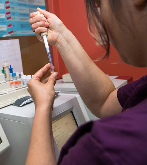 O-Services-2 Analyses médicales vétérinaires Bourgoin Jallieu